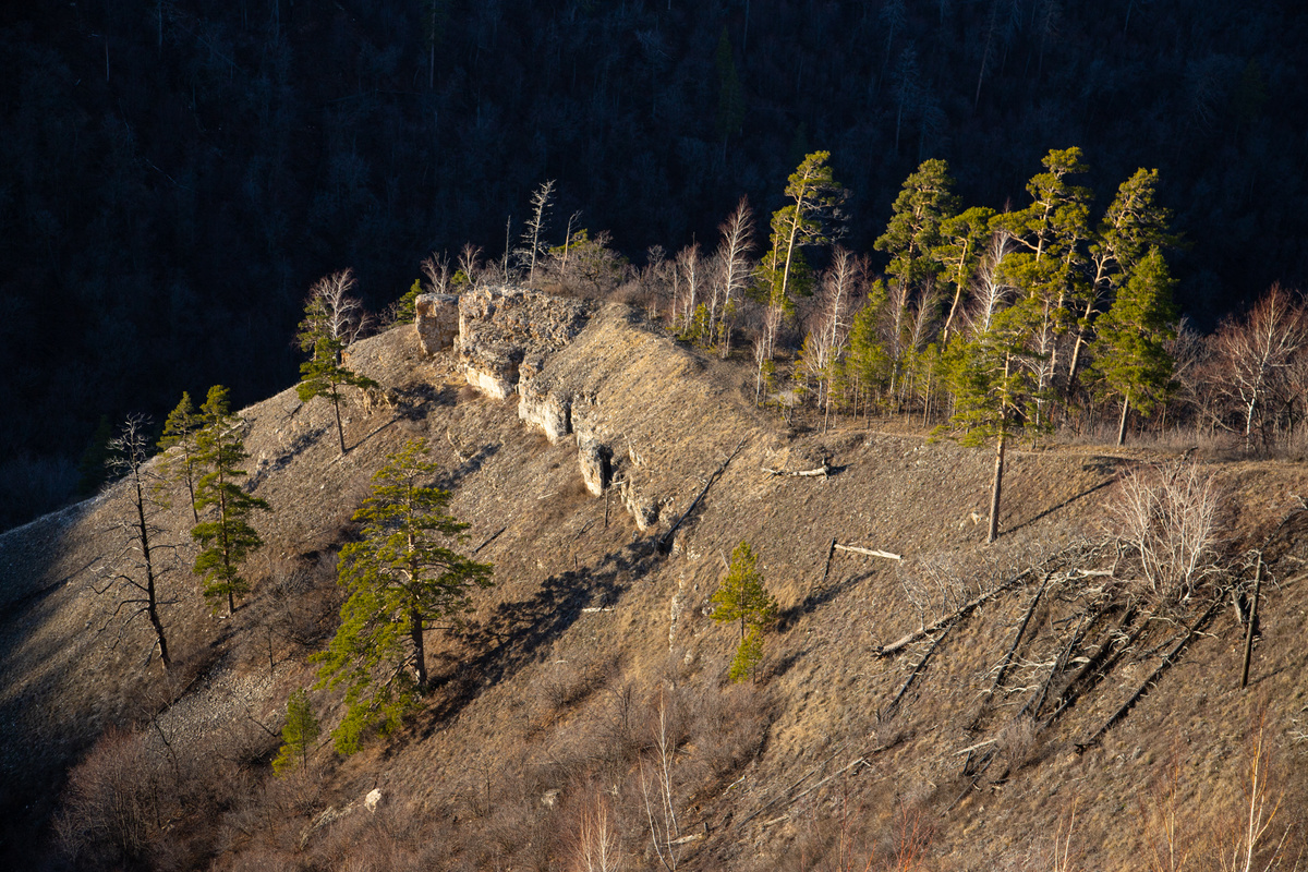 Склоны горы Тигр в Жигулёвских горах