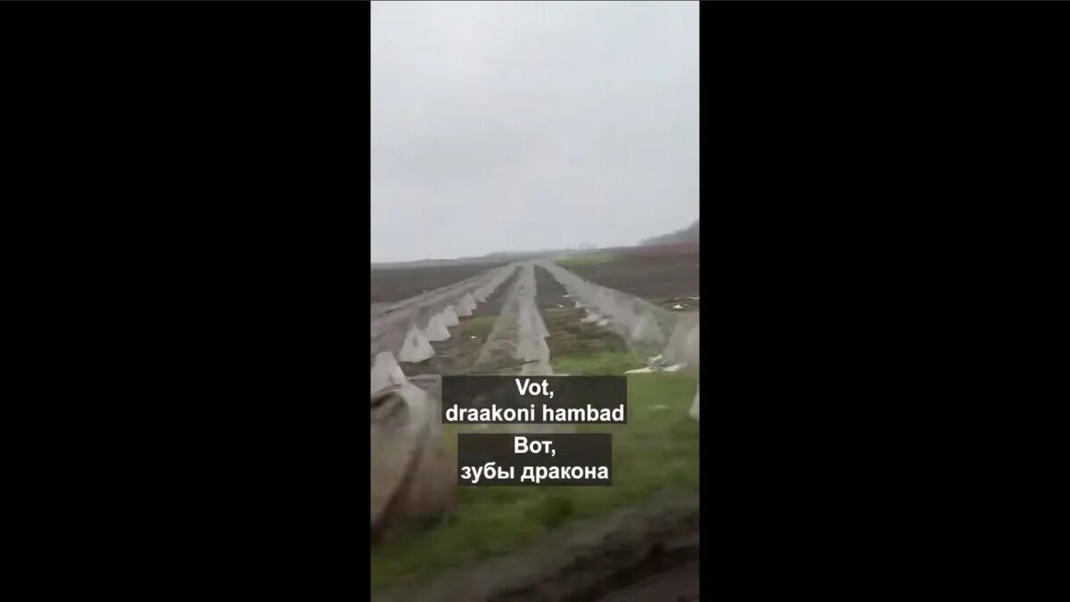 Скрин видео