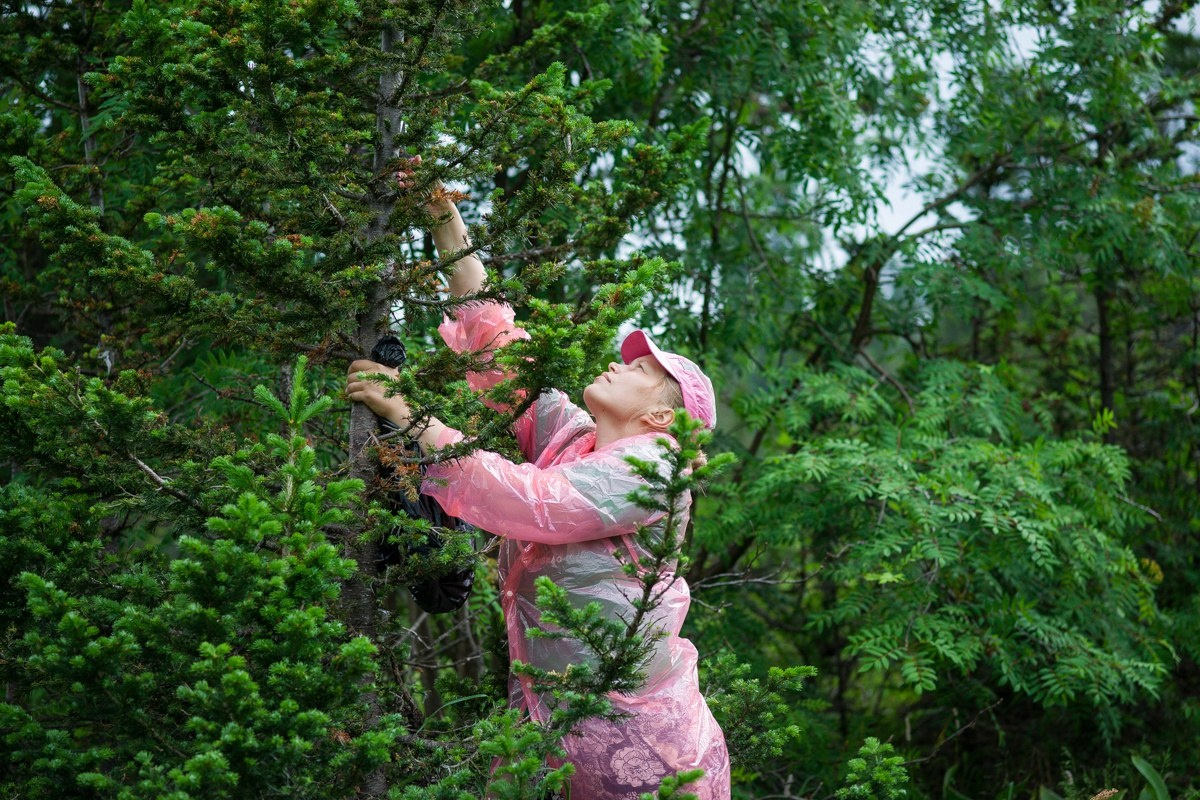Освобождаю деревья. Фото Марии Арыштаевой