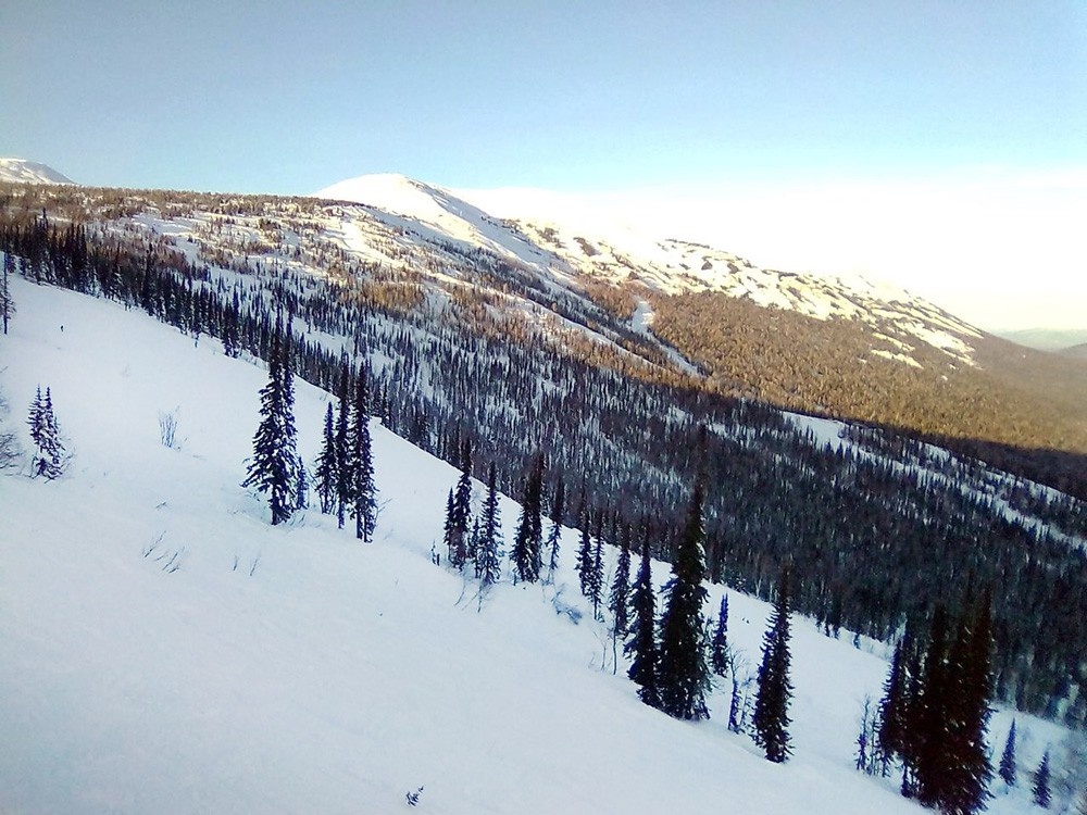    © TVC.RU / Алексей Паршуков