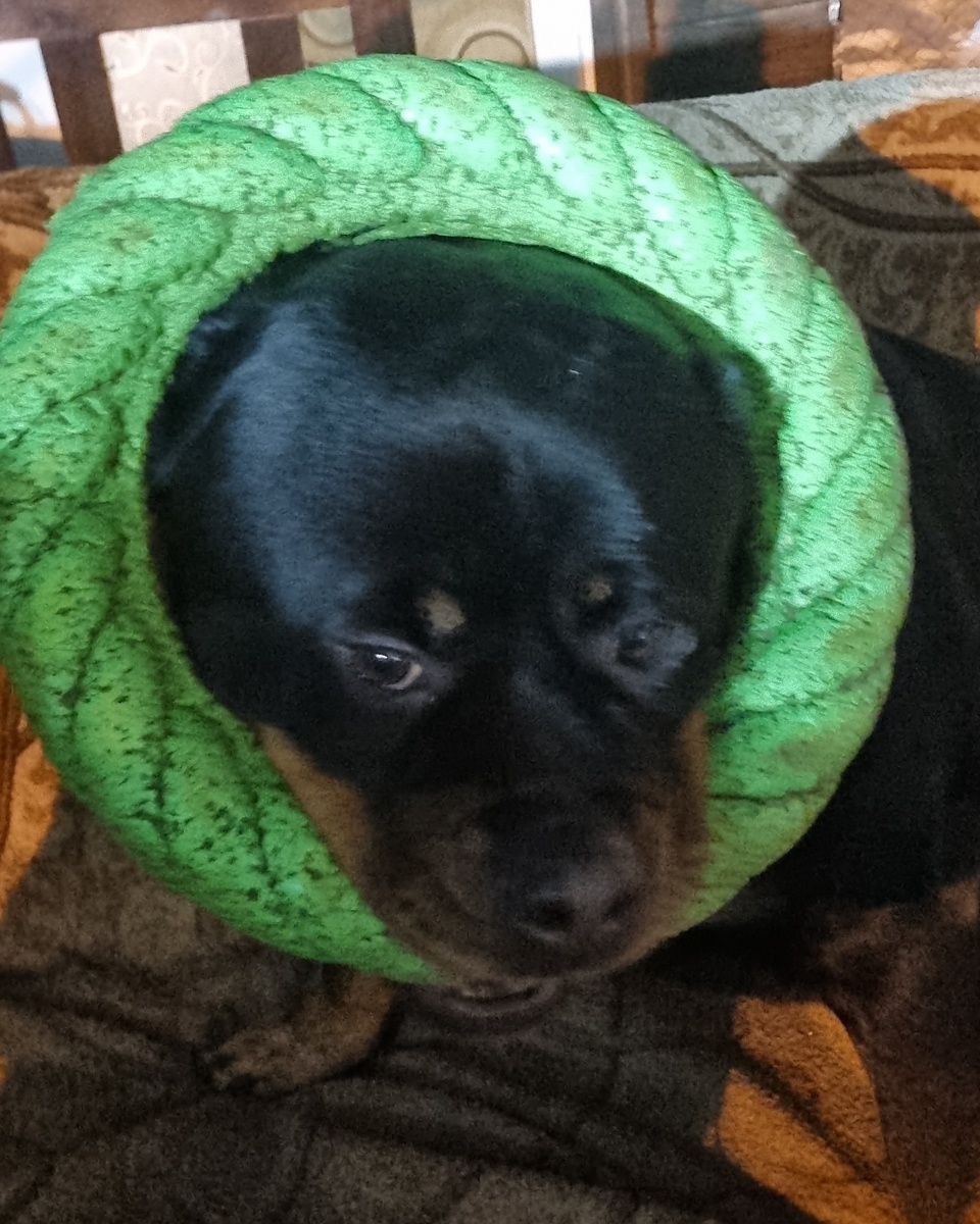 Всем привет.