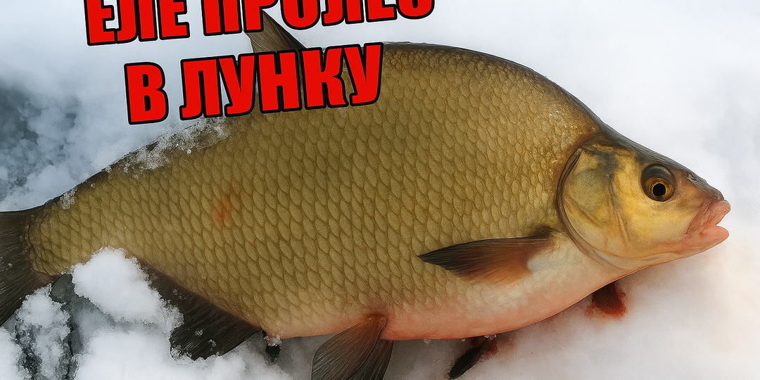 Слишком Большой: Как Я ловлю Леща в середине зимы