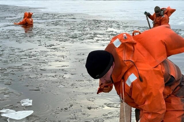    Фото: Из архива/ АНО Водолазная группа «ДобротворецЪ»