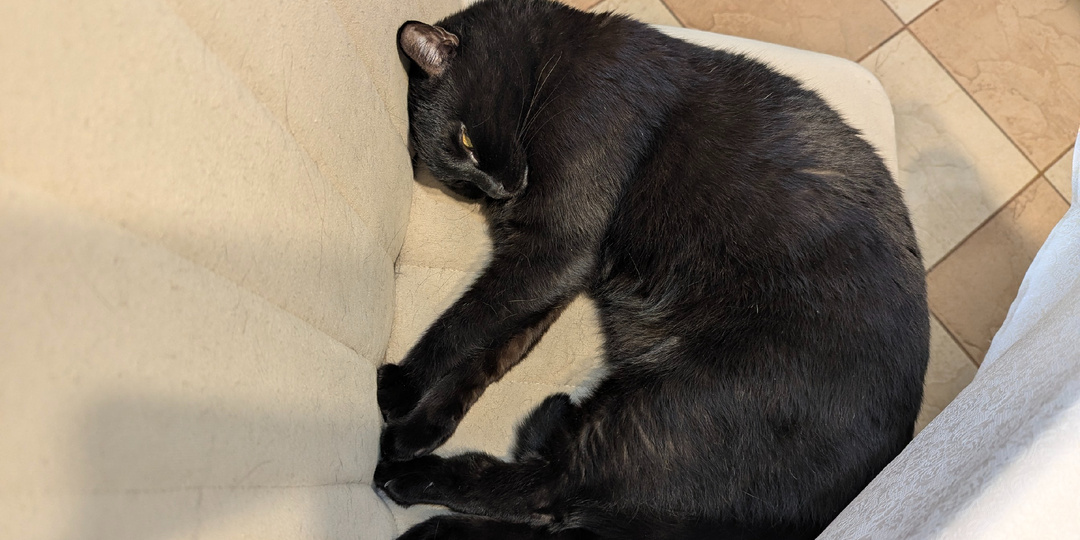 Что мы сделали, когда весь мир шумел за окном