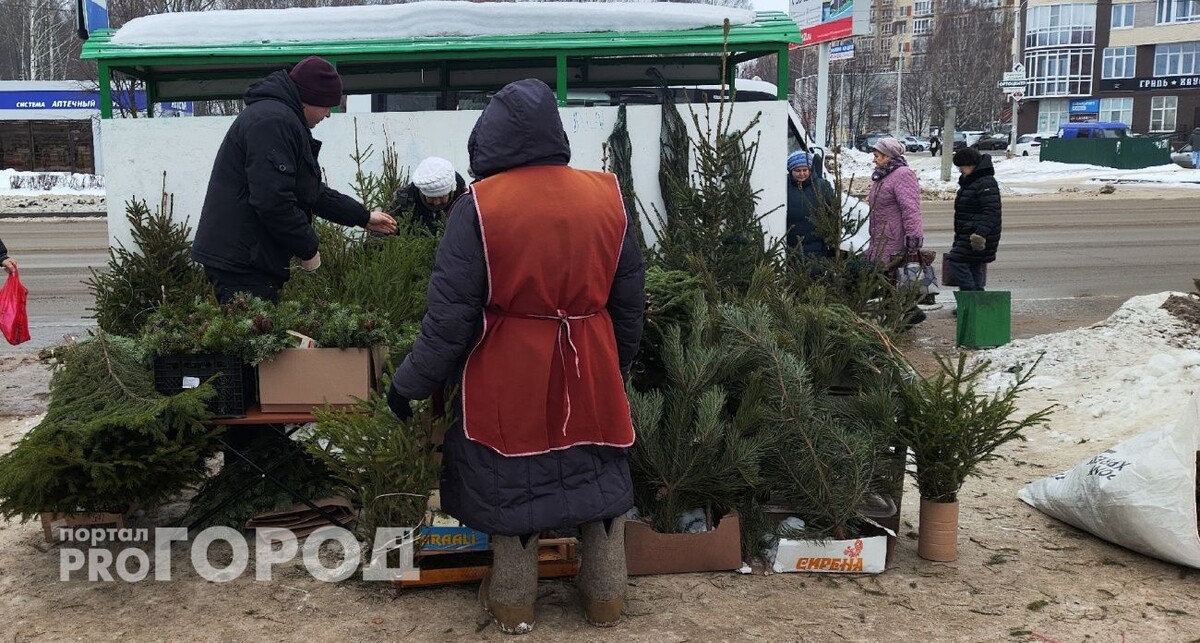    Из архива "Про Город"