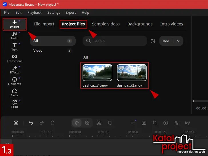Исходные видеофайлы в разделе Project files (Файлы проекта) окна Import (Импорт)