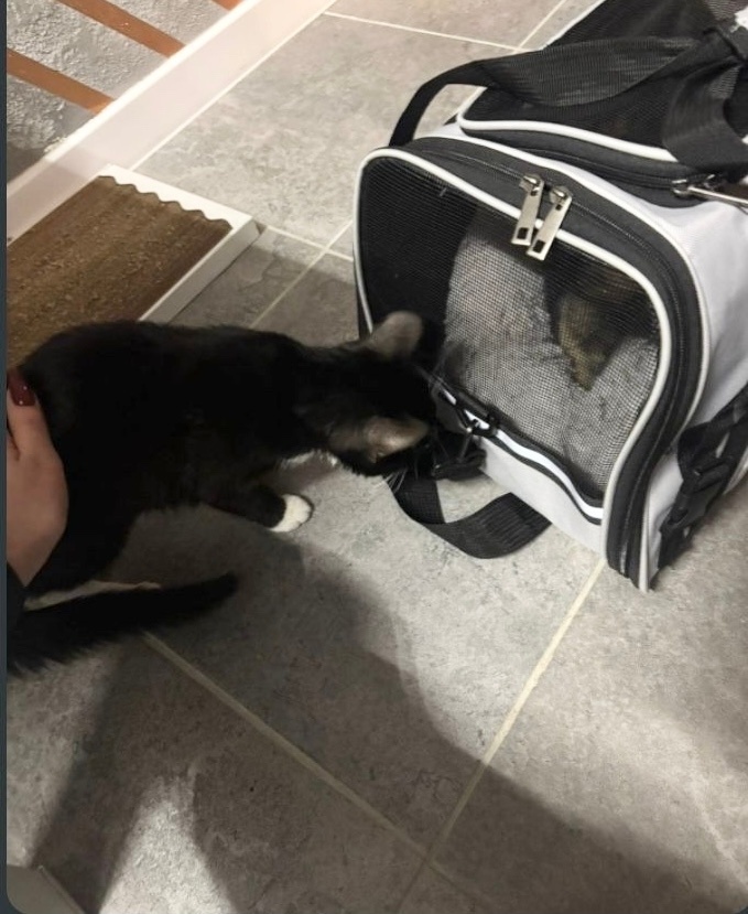 Мелли приехала домой 🧡