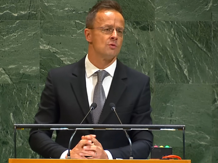     Петер Сийярто. Фото: кадр из видео.