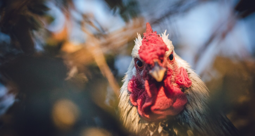    Фото с сайта freepik.com