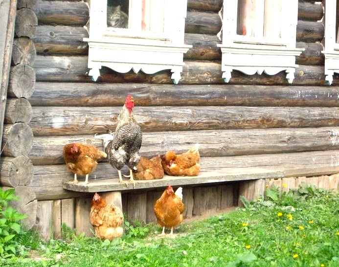  Из свободных источников