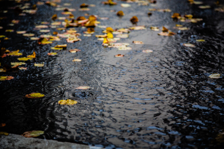    Фото: Общественная Служба Новостей Марта Леви