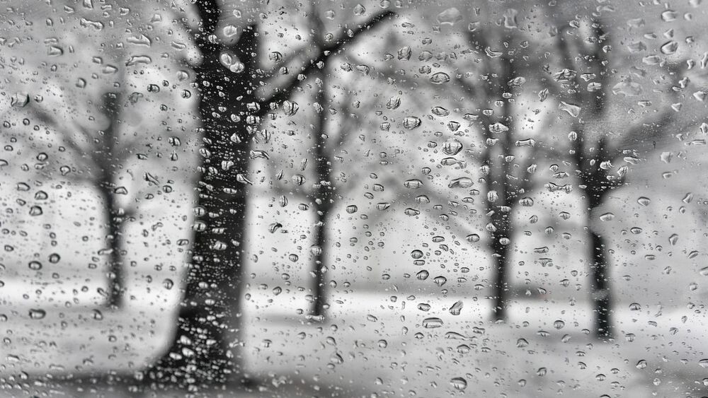    Фото: Victor Grow/Shutterstock/Fotodom