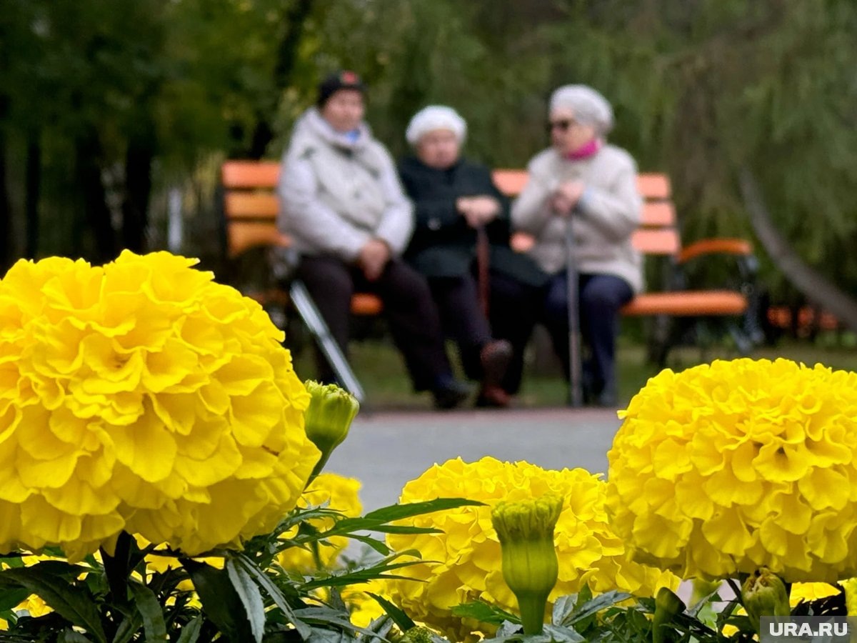     Россиянм следует копить финансовую подушку к старости, так как пенсионных баллов им не хватит