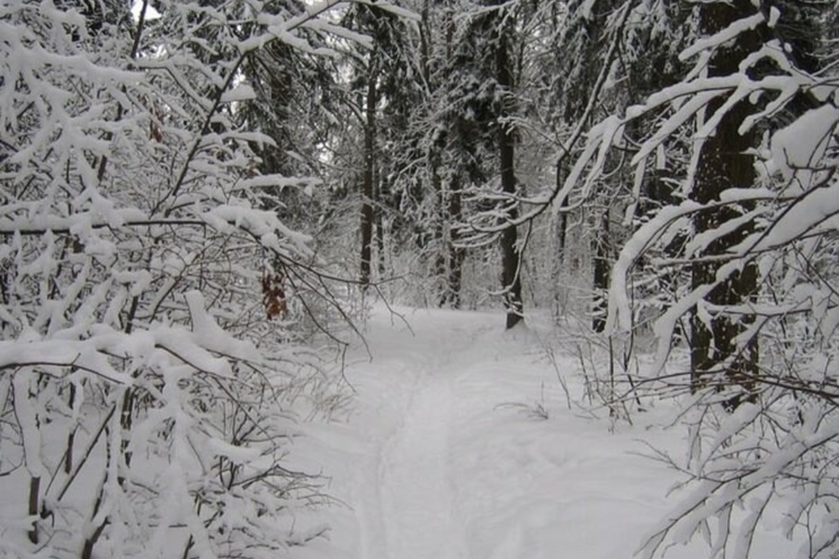    Фото: Александр Горностаев; источник: Москва24