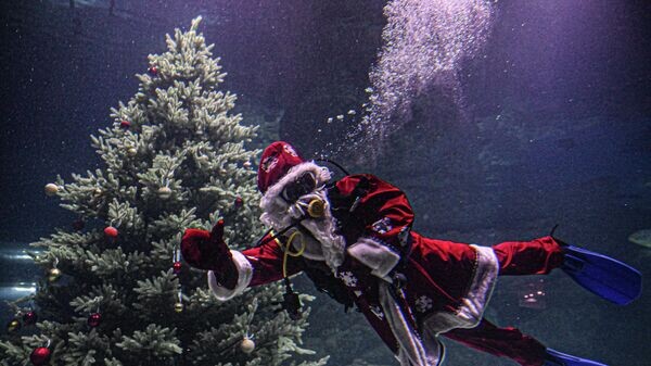    © РИА Новости . Alexey Maishev