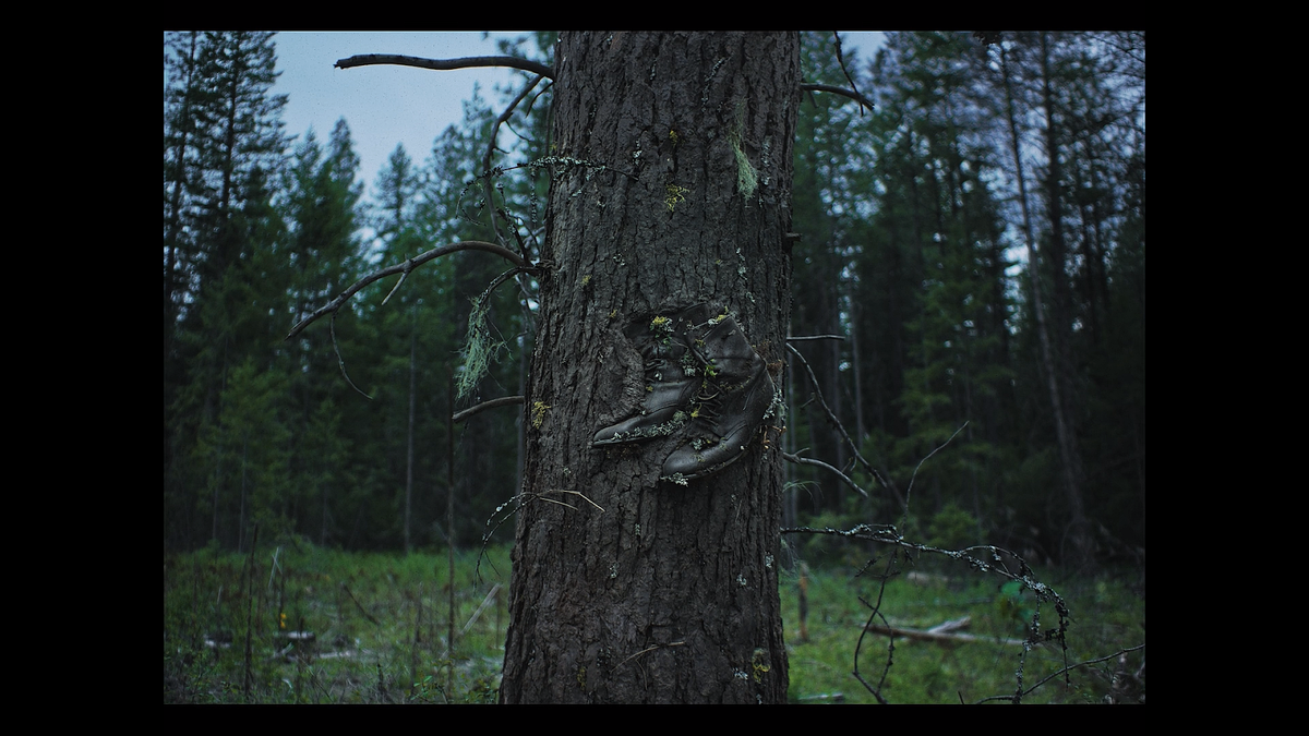 Кадр из фильма Сны поездов (2025)