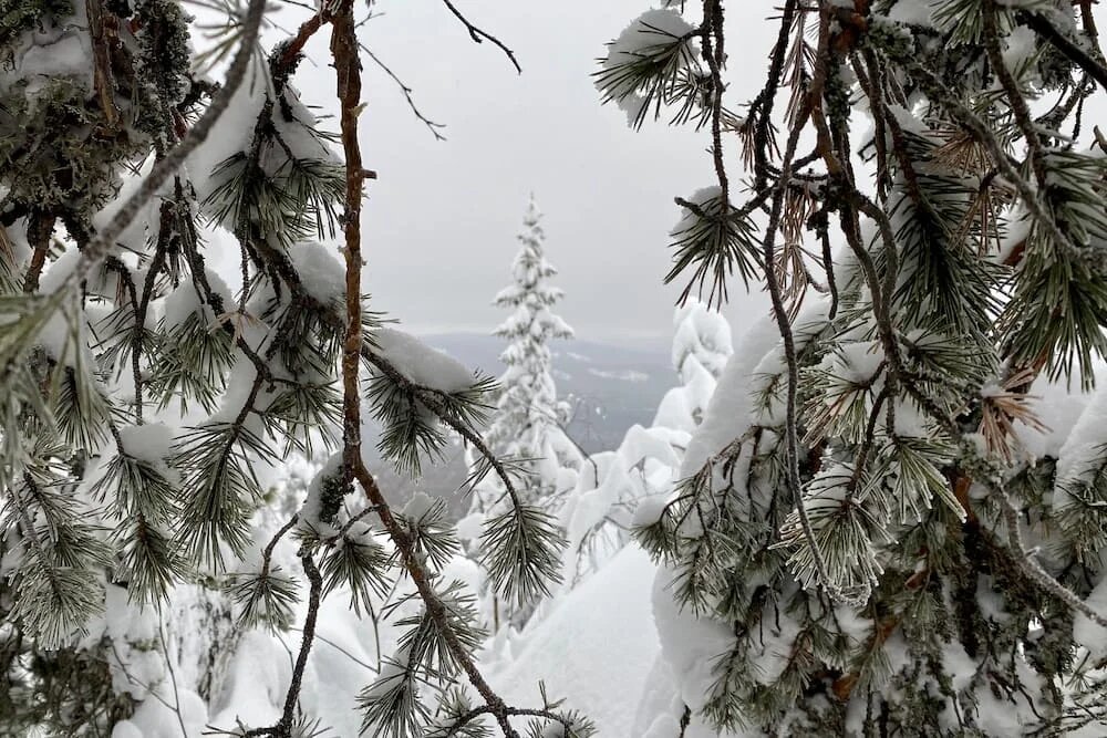 Фото: UfacityNews.ru