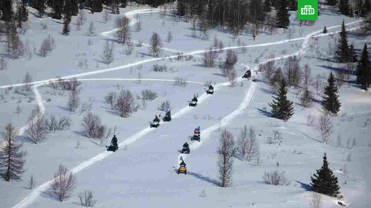    Фото: соцсети