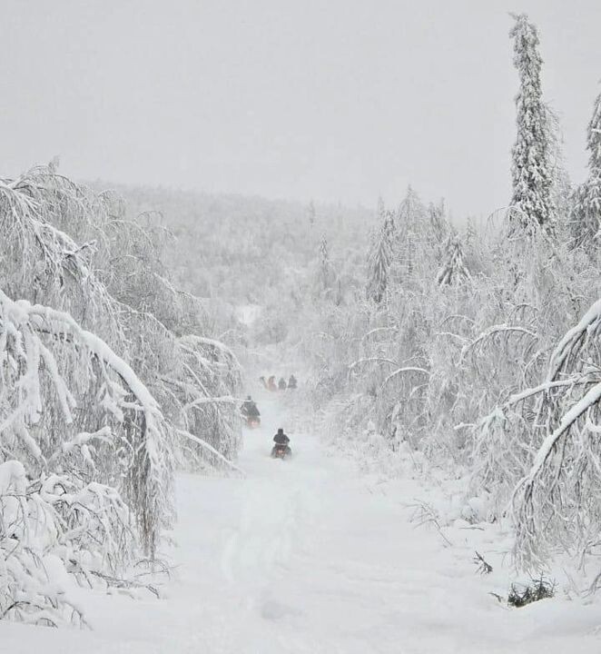     / Источник: © Соцсети