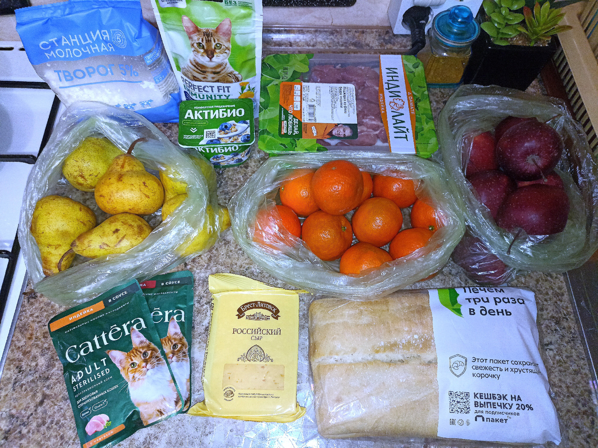ГРУШИ, МАНДАРИНЫ, ЯБЛОКИ, ТВОРОГ, ВИТАМИНКИ И КОРМ ДЛЯ КОТОВ, ДВЕ "ПОДЖАРКИ" ИЗ ФИЛЕ ИНДЕЙКИ, РОССИЙСКИЙ СЫР, ТВОРОЖОК СО ЗЛАКАМИ И ЧИАБАТТА.