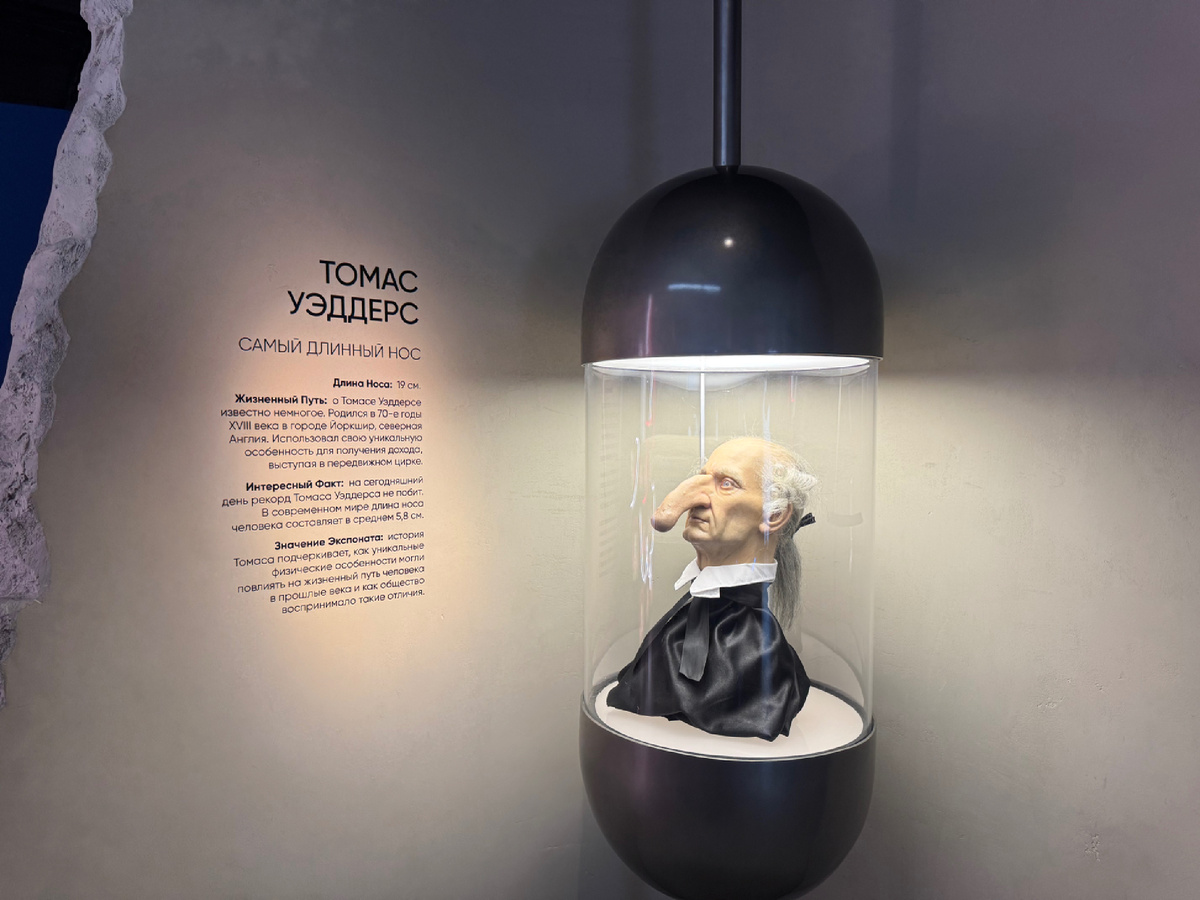 Экспонат в музее «МАФ» 