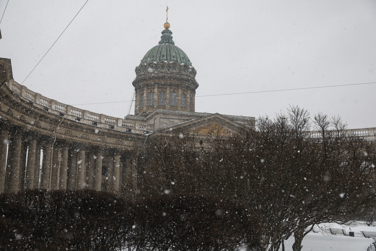 Роман Пименов/«Петербургский дневник»