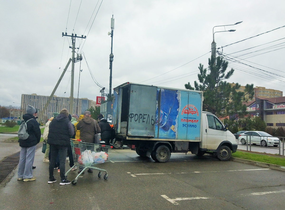 Фото автора из предыдущей публикации