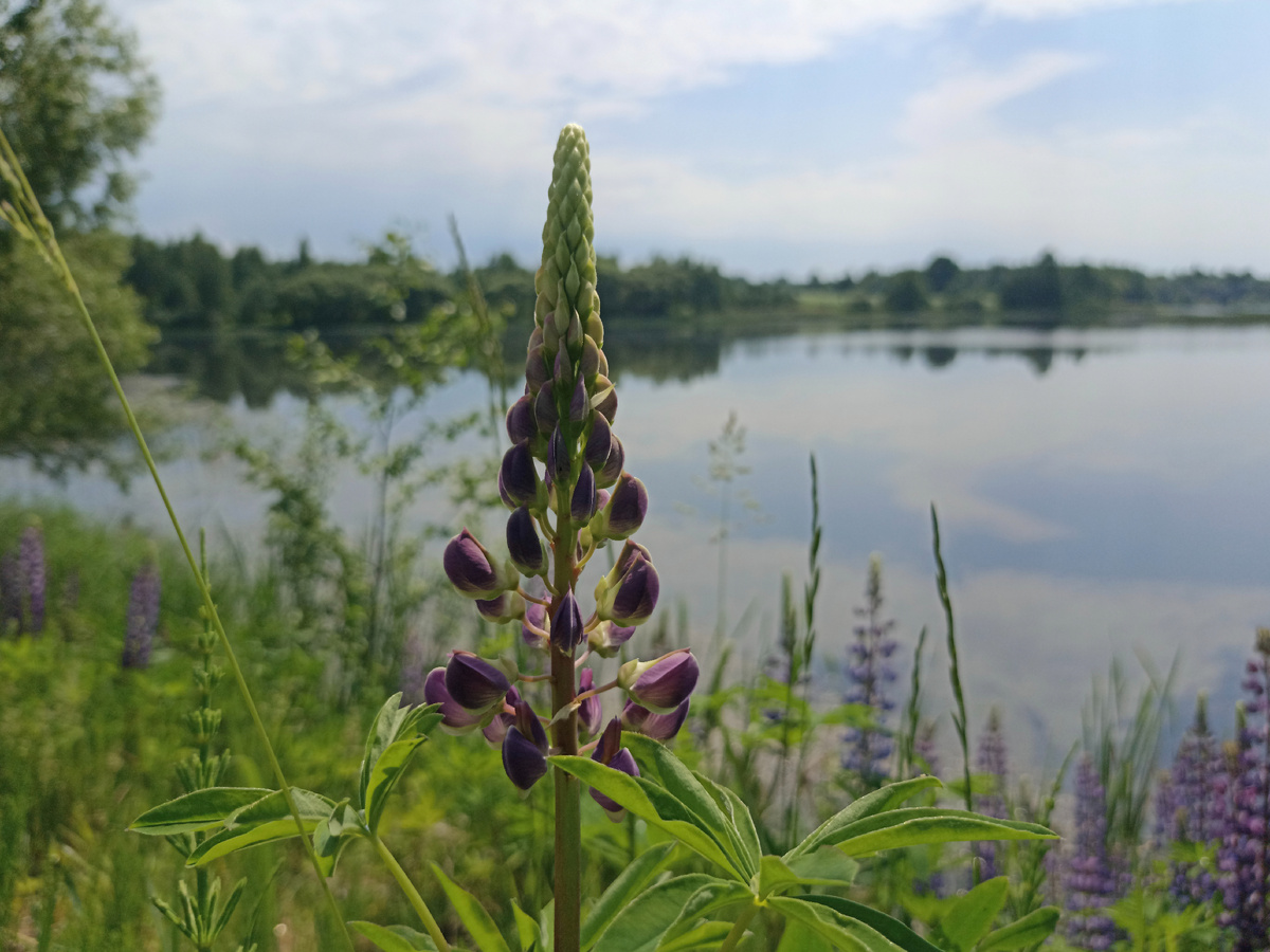 Жаркое лето