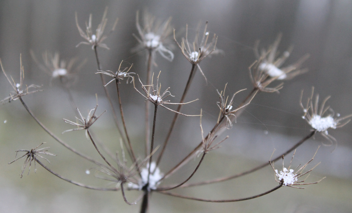 Фото сделанное мной.