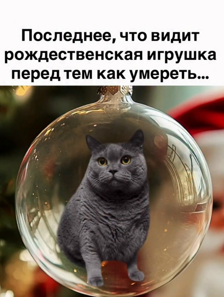 Картинка взята из открытого доступа в сети Интернет