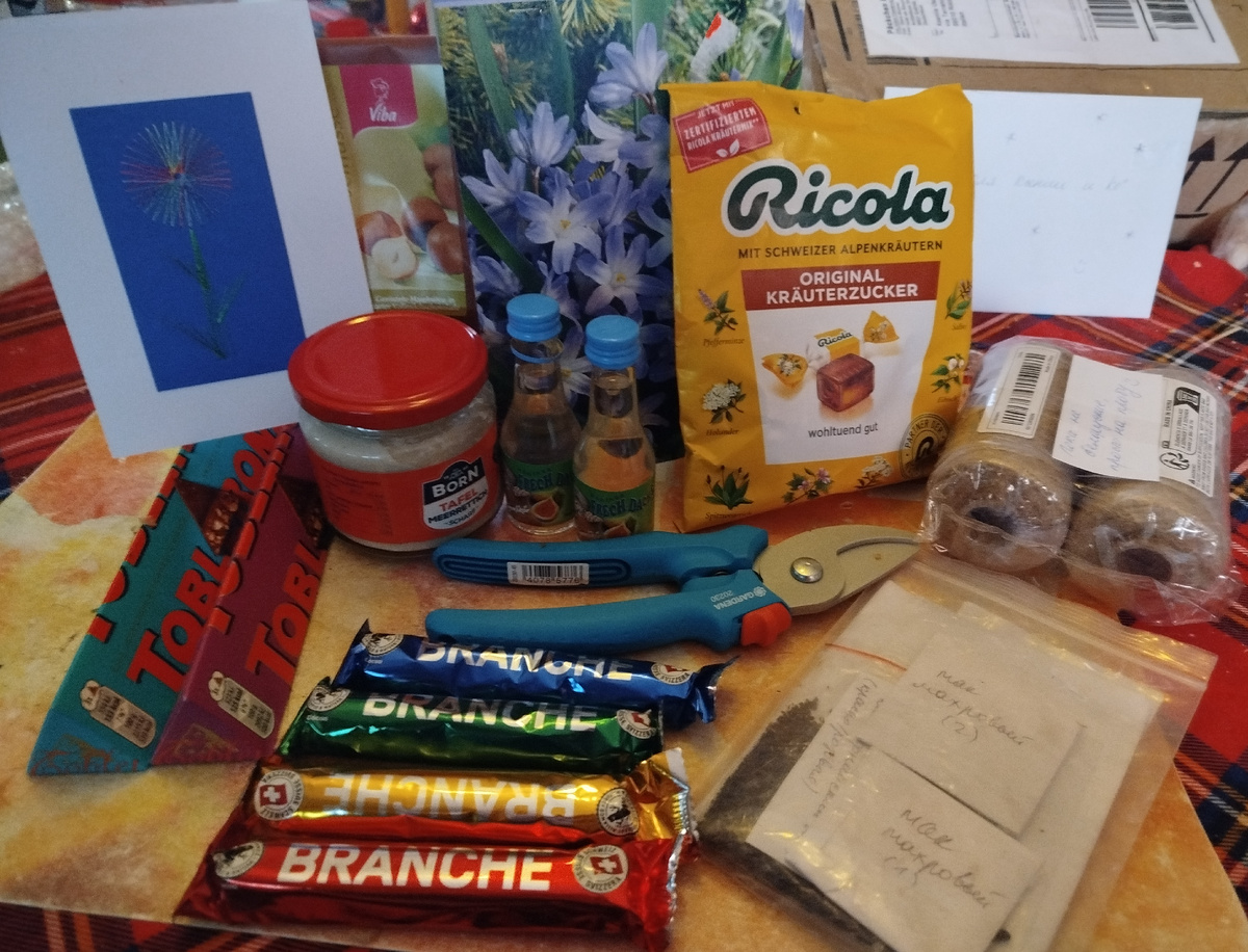 Фото автора.