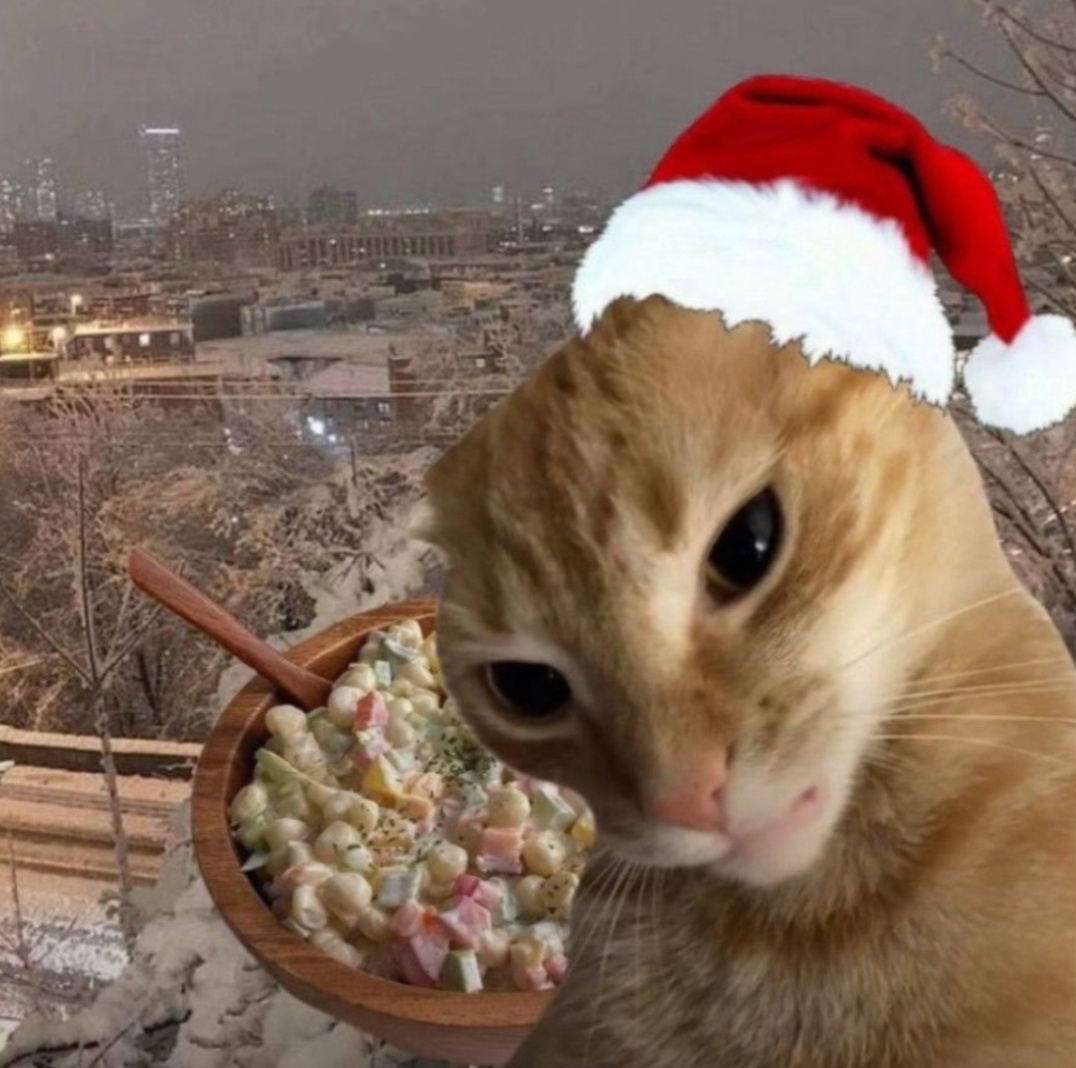 Новогодний кот🎉🎉🎉
