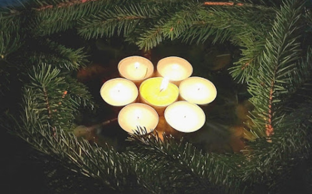 Фото автора.