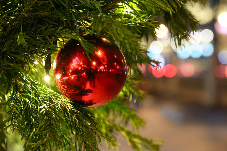    Наталья Шатохина/NEWS.ru