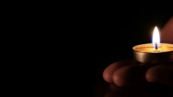    Фото: Dmitriy Yermishin/Shutterstock/Fotodom