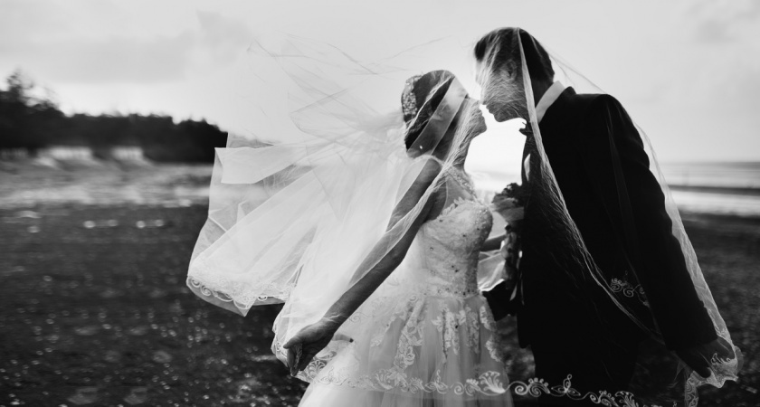    фото pxhere