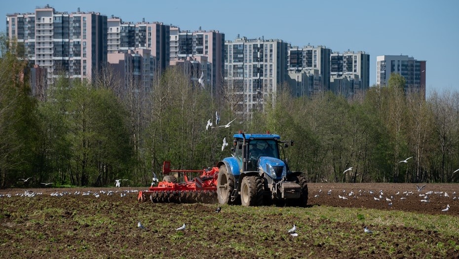    Девелоперам предлагают освоить новый вид деятельности Автор фото: Сергей Ермохин/"ДП"