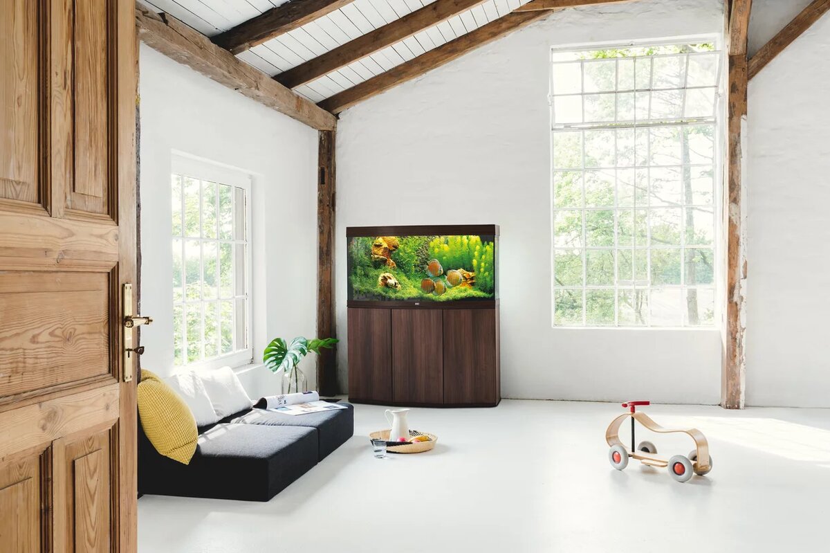 "Ваш подводный мир — наша забота и профессионализм!"