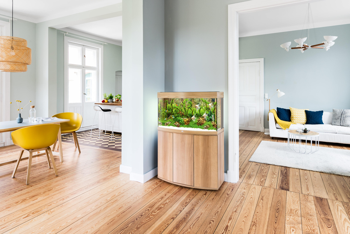 "Подводный мир в гармонии — забота о каждом обитателе!"