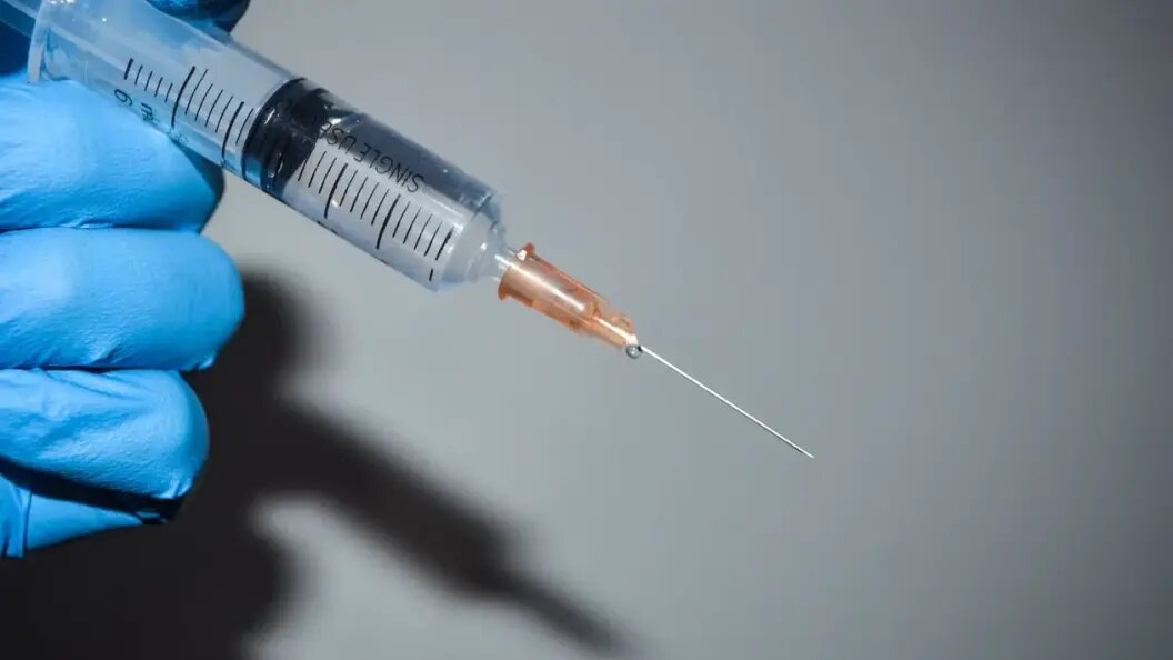    Фото: JN 999shutterstock