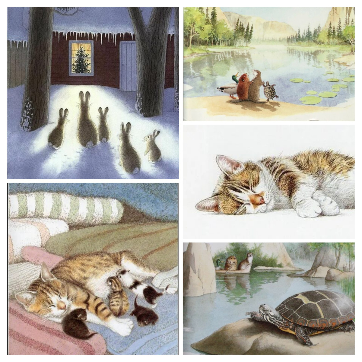 Сара Фокс Дэйвис