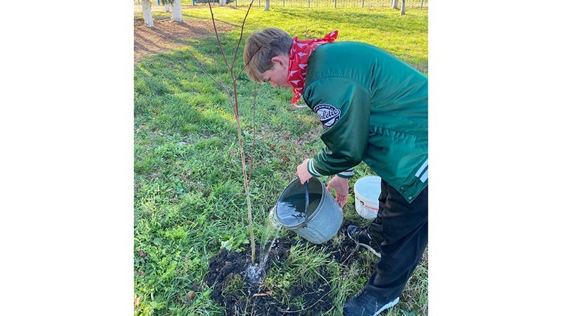    В соответствии с Конституцией и собственным выбором