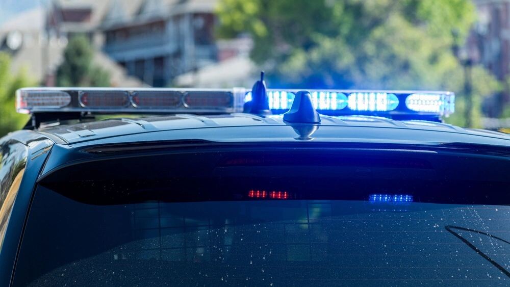    Фото: Charles-McClintock Wilson/Shutterstock/Fotodom