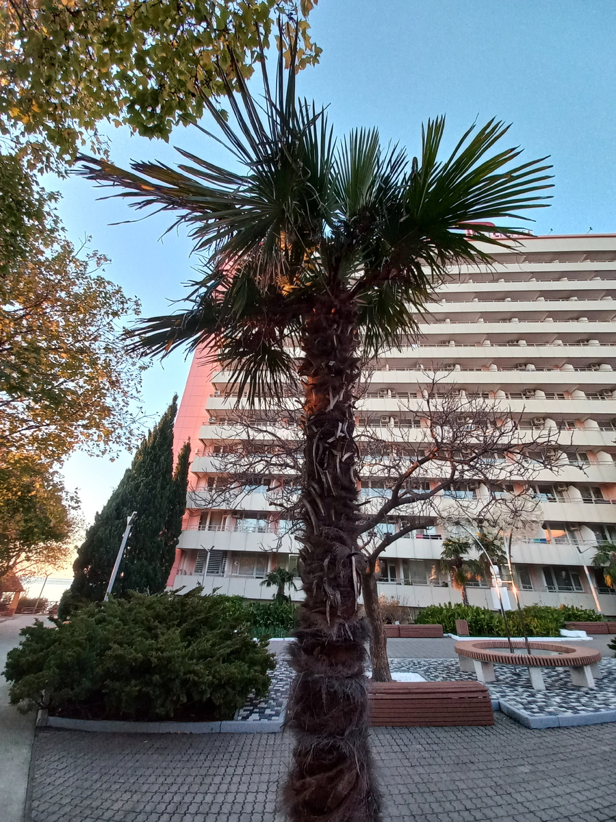 Сам корпус. Санаторий Автотранспортник 2025 декабрь.