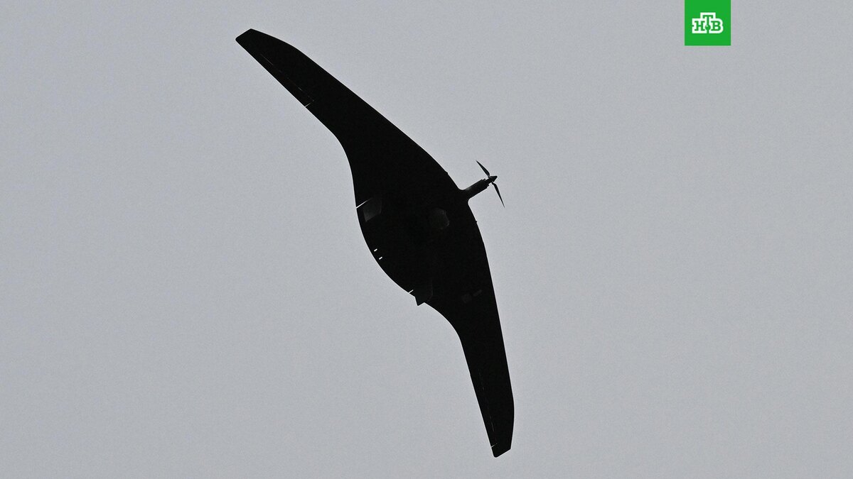    Фото: РИА Новости © 2025, Станислав Красильников