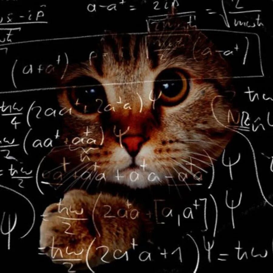 источник Яндекс-картинки