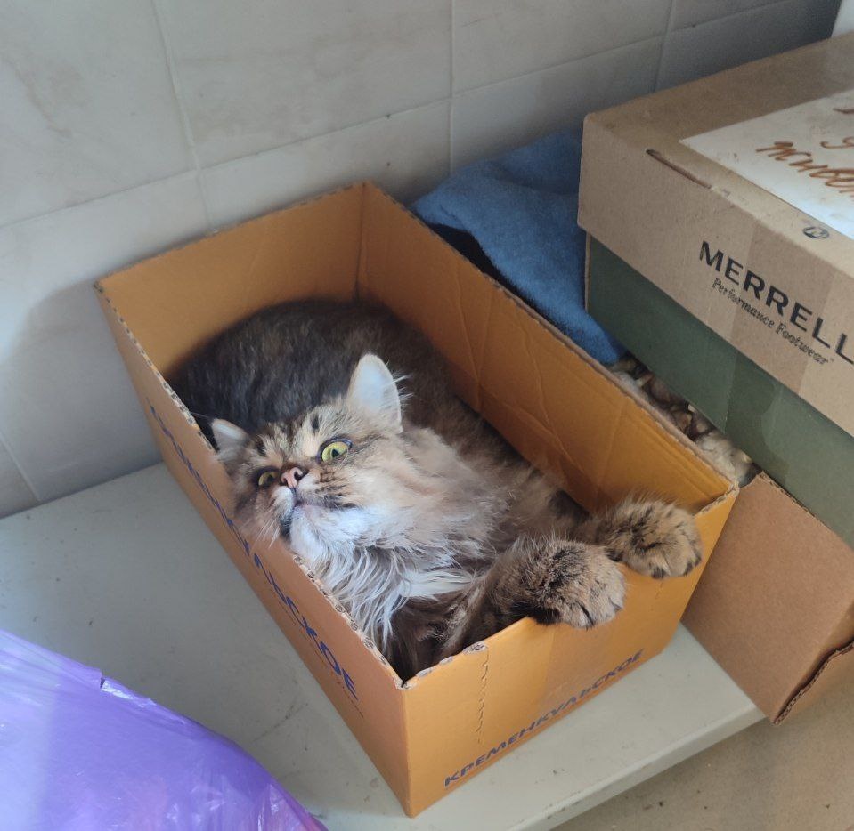 Муся в монастыре 