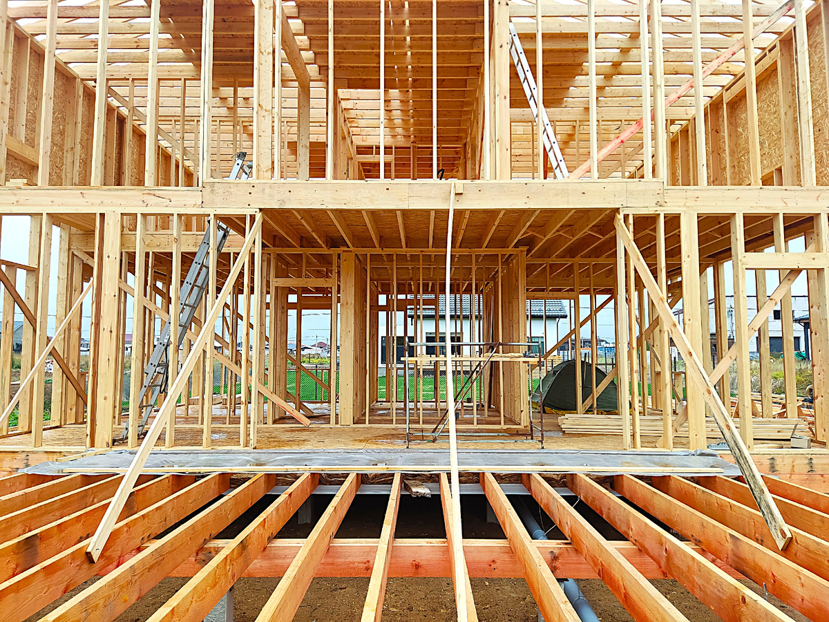 Наш правильный каркас из сухой строганной доски. Истра 2023 г