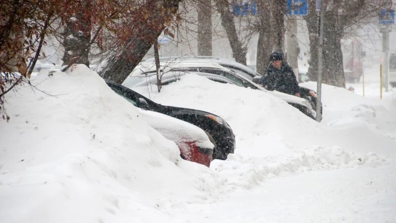     Снегопад. Зима. Метель. Снег. Анна Зайкова, altapress.ru