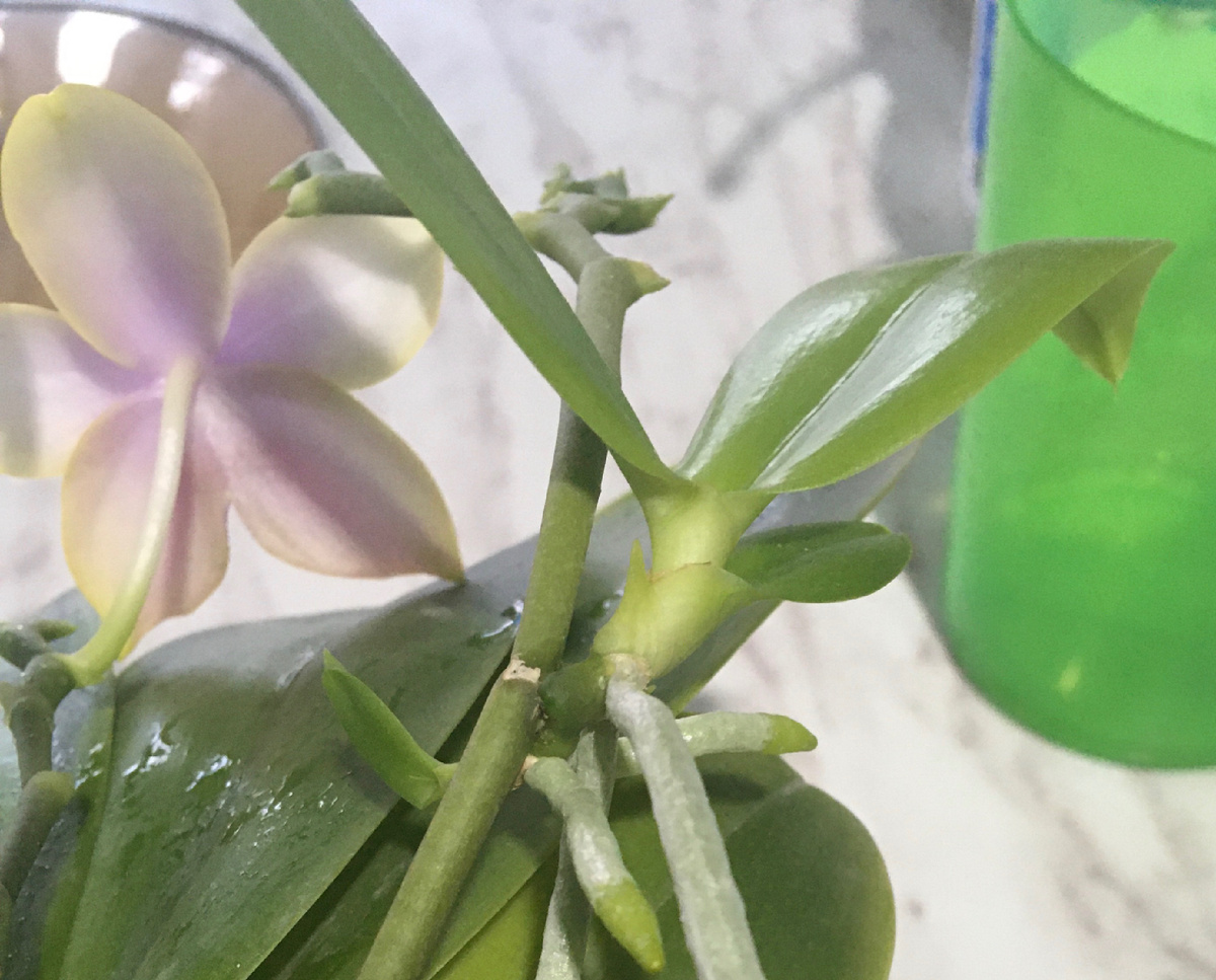 Это значит - растёт мой бизнес